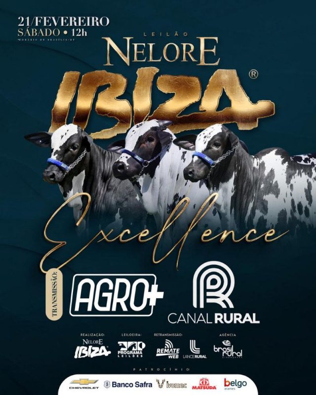 Leilão Virtual Nelore Pintado Ibiza - Excellence