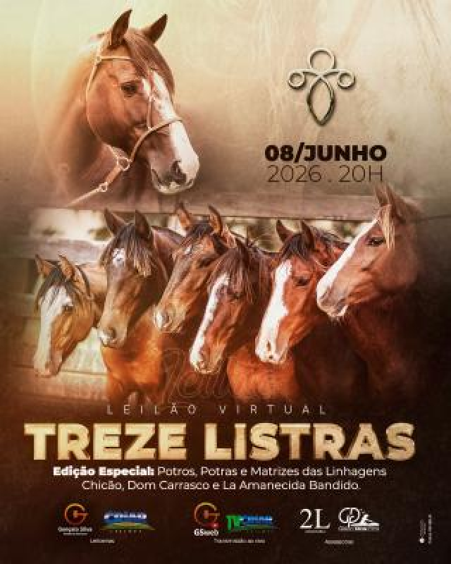 Leilão Virtual Treze Listras