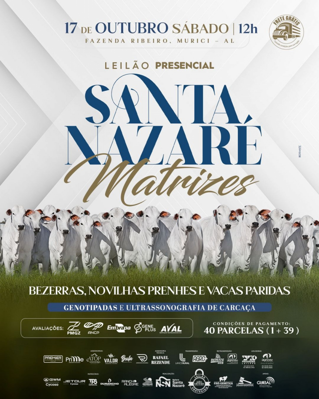 Leilão Presencial Santa Nazaré Matrizes