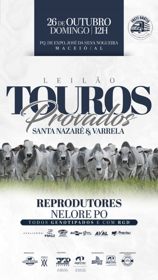Leilão Touros Provados Santa Nazaré e Varrela - Reprodutores Nelore PO