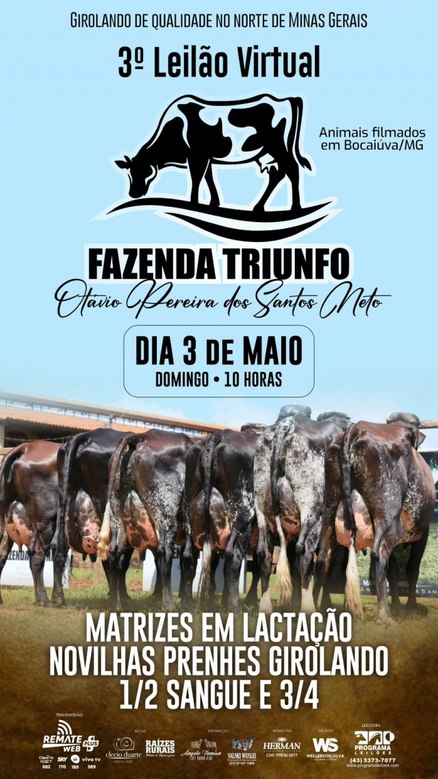 3º Leilão Virtual Fazenda Triunfo