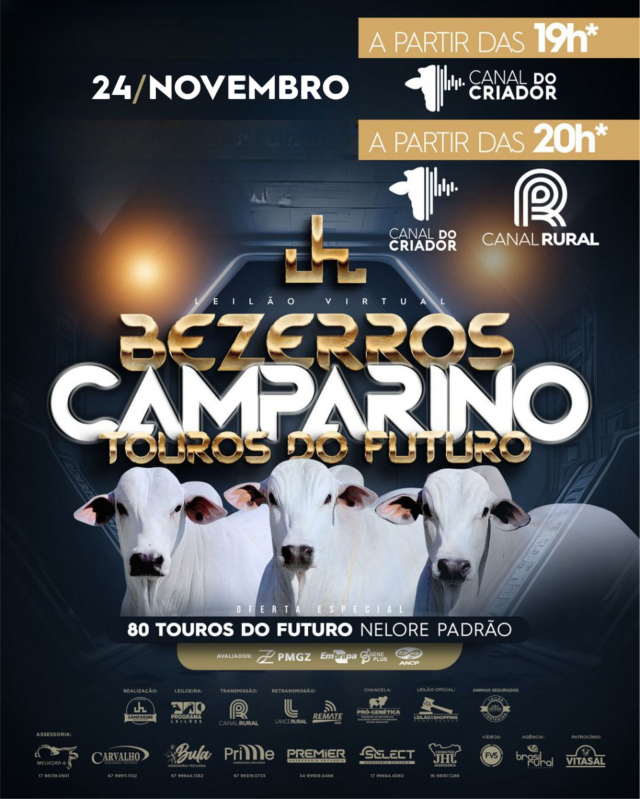 Leilão Virtual Bezerros Camparino - Touros do Futuro