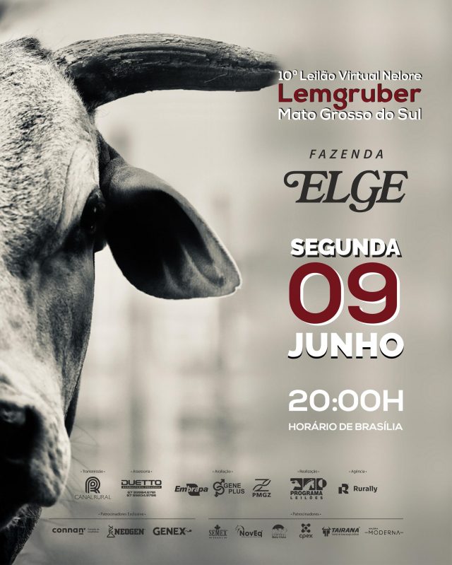 10º Leilão Virtual Nelore Lemgruber - Fazenda Elge