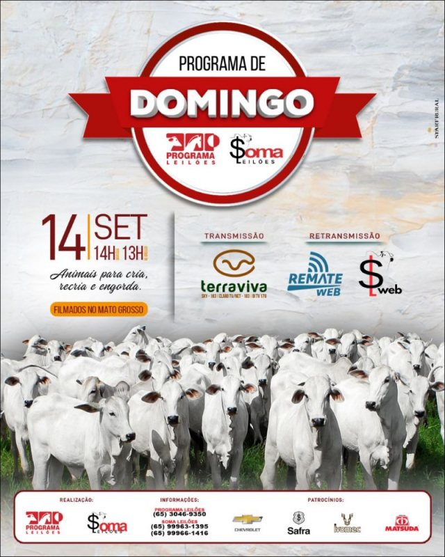 125º Programa de Domingo - Programa e Soma Leilões