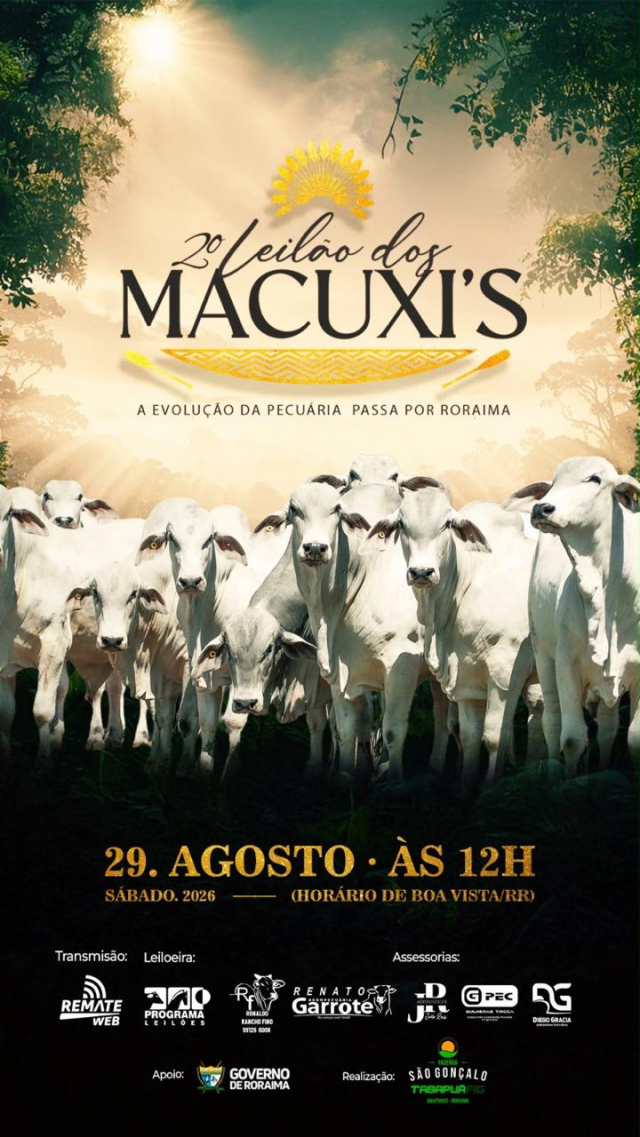 2º Leilão dos Macuxi's