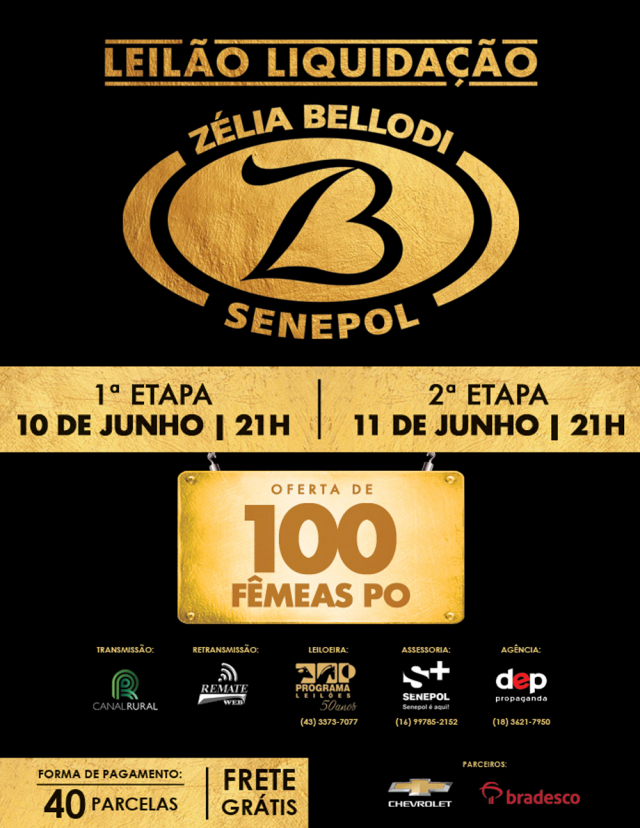 Liquidação Zélia Bellodi Senepol