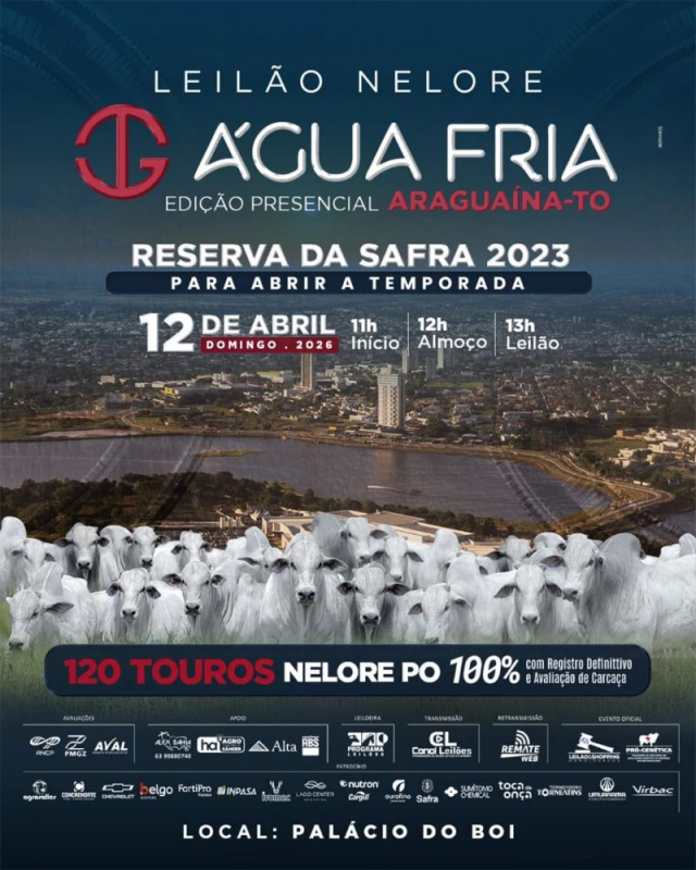 Leilão Nelore Água Fria - Touros Nelore PO