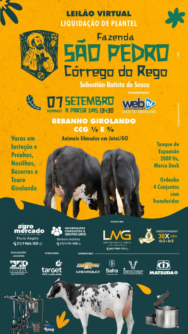 Leilão Virtual Liquidação Fazenda São Pedro Córrego do Rego