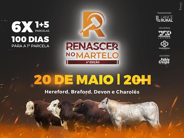 Leilão Virtual Renascer do Martelo - Hereford, Braford, Devon e Charolês