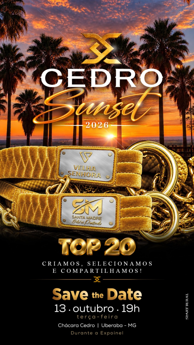 Leilão Sunset Pintado Cedro