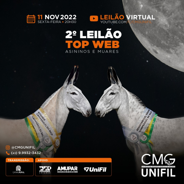 2° Leilão TOP WEB - CMG Unifil