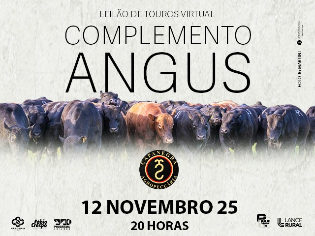 Leilão Virtual de Touros Complemento Angus