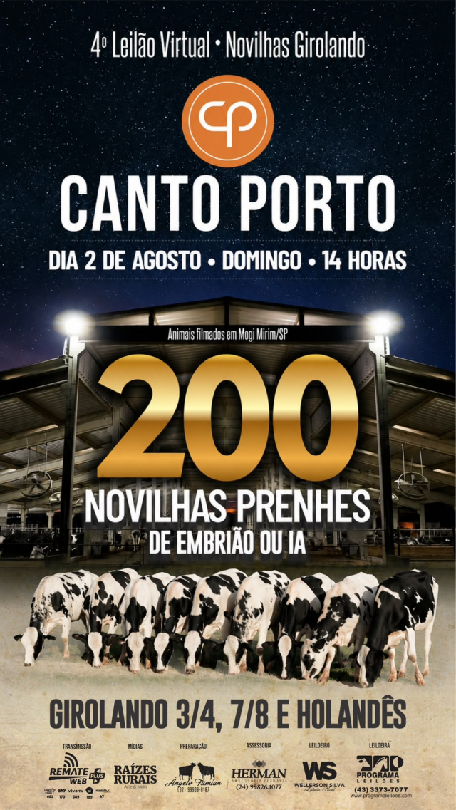 4º Leilão Virtual Canto Porto - 200 Novilhas Prenhes