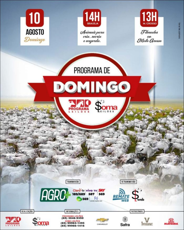 122º Programa de Domingo - Programa e Soma Leilões