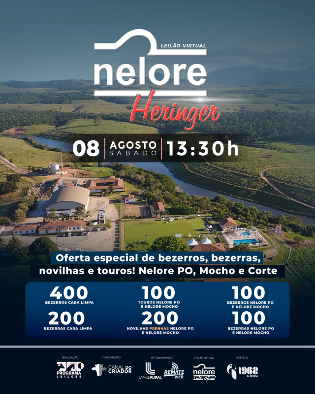 Leilão Virtual Nelore Heringer