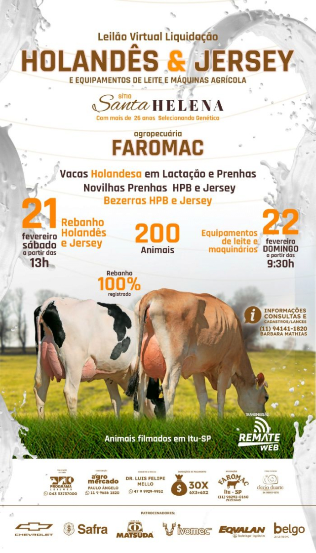 Leilão Virtual Liquidação Sítio Santa Helena - Holandês e Jersey