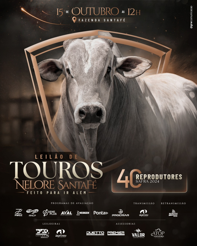 Leilão de Touros Nelore SantaFé