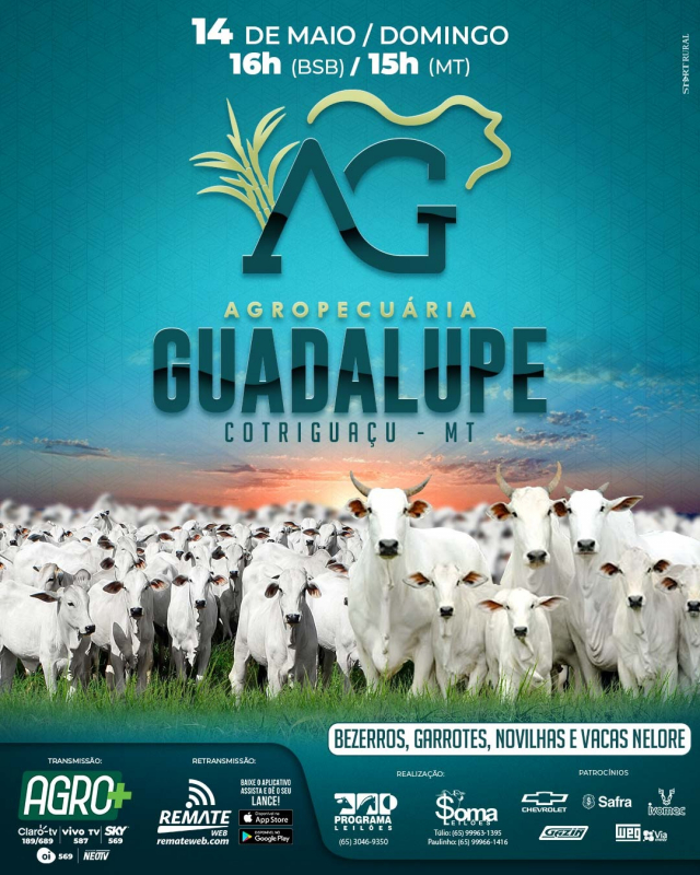 Leilão Virtual Agropecuária Guadalupe