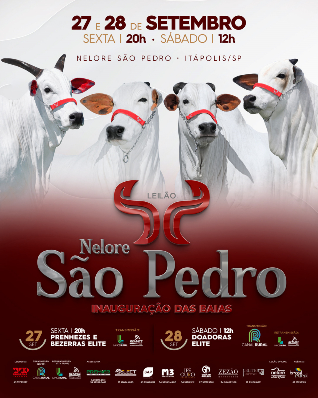 Leilão Nelore São Pedro - Doadoras Elite