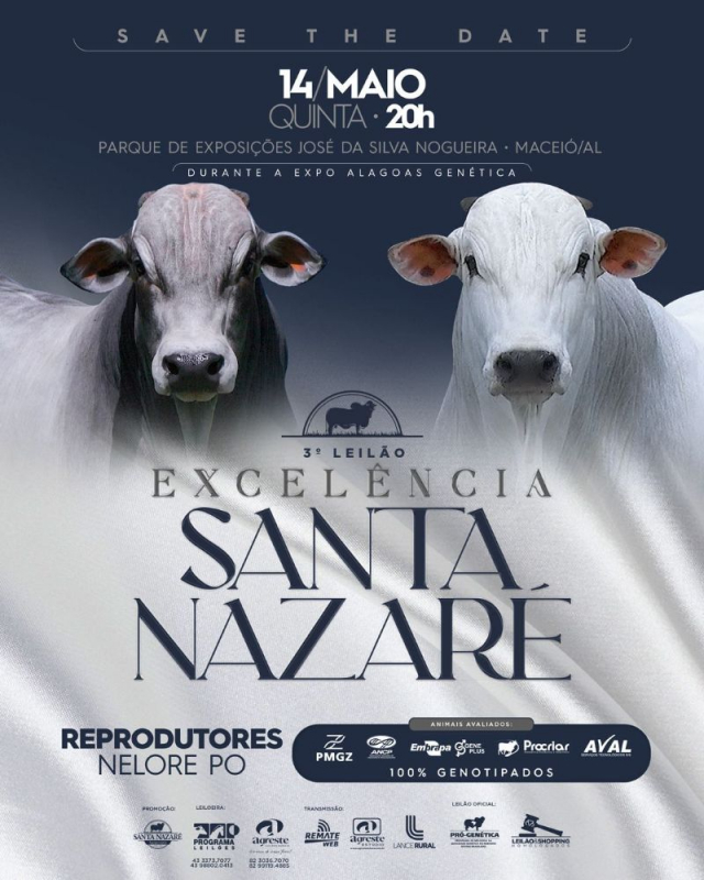 3º Leilão Excelência Santa Nazaré - Reprodutores
