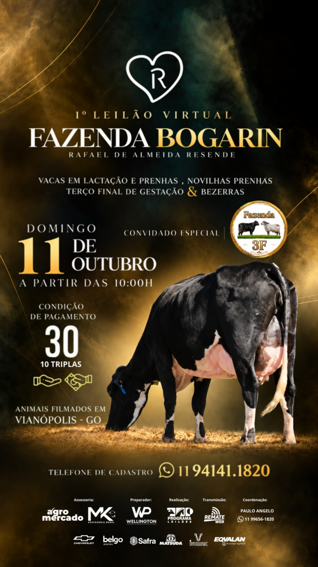 1º Leilão Virtual Fazenda Bogarin