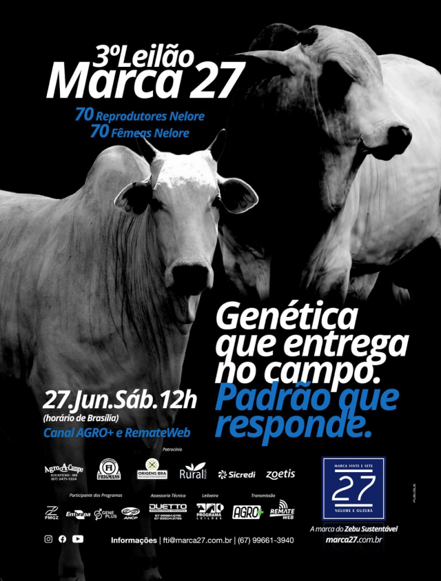 3º Leilão Marca 27