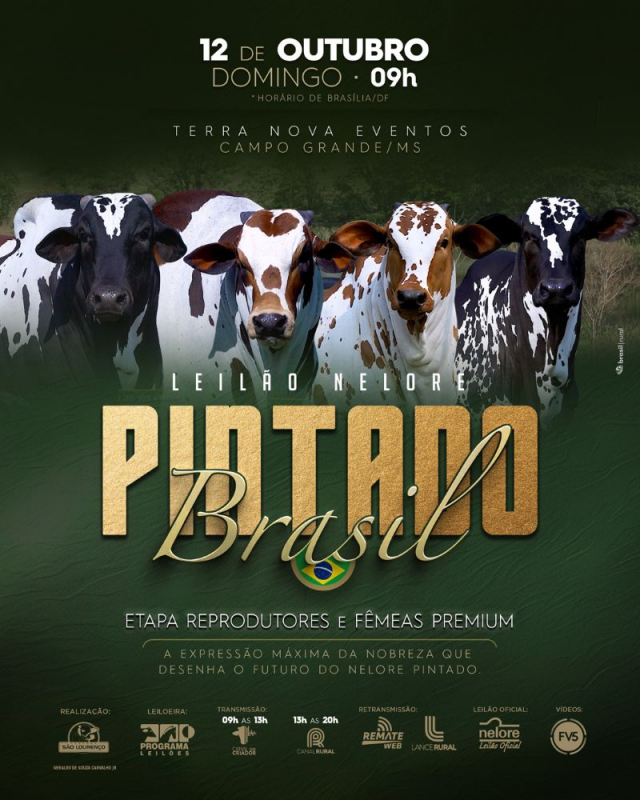 Leilão Nelore Pintado Brasil - Reprodutores e Fêmeas Premium