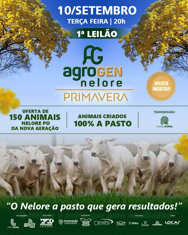 1° Leilão Virtual Nelore Agrogen Primavera