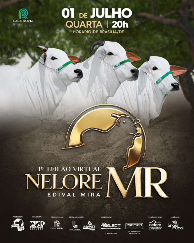 1º Leilão Virtual Nelore MR