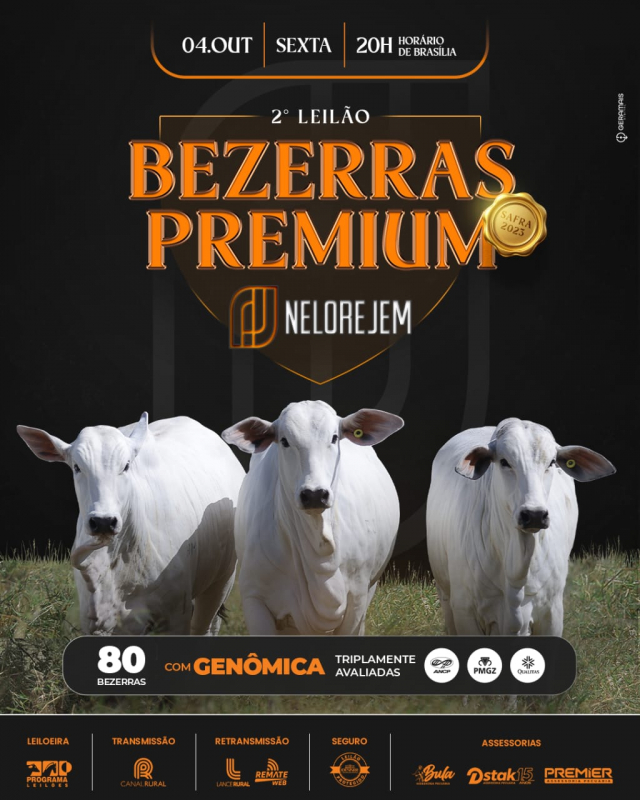 2° Leilão Bezerras Premium Nelore JEM