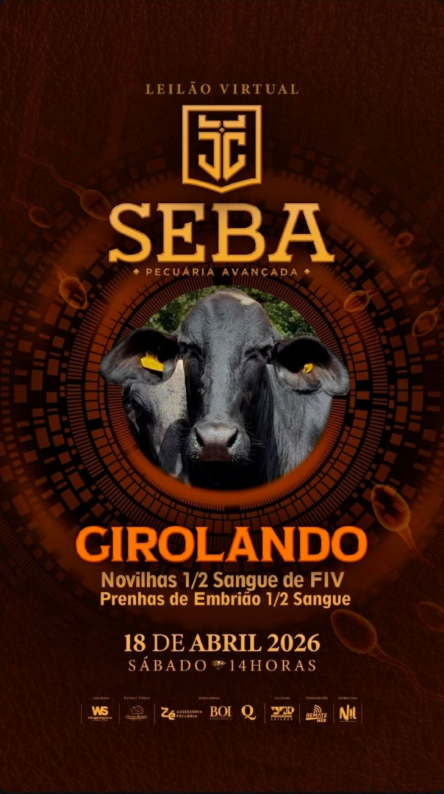 Leilão Virtual Seba - Girolando