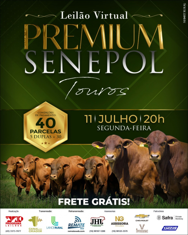 Leilão Virtual Premium Senepol - Touros