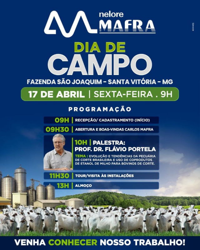 Dia de Campo Nelore Mafra