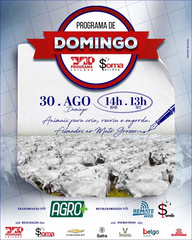 163° Programa de Domingo - Programa e Soma Leilões
