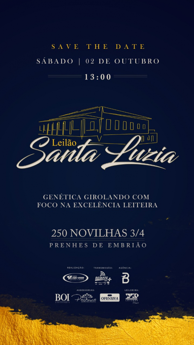 Leilão Santa Luzia