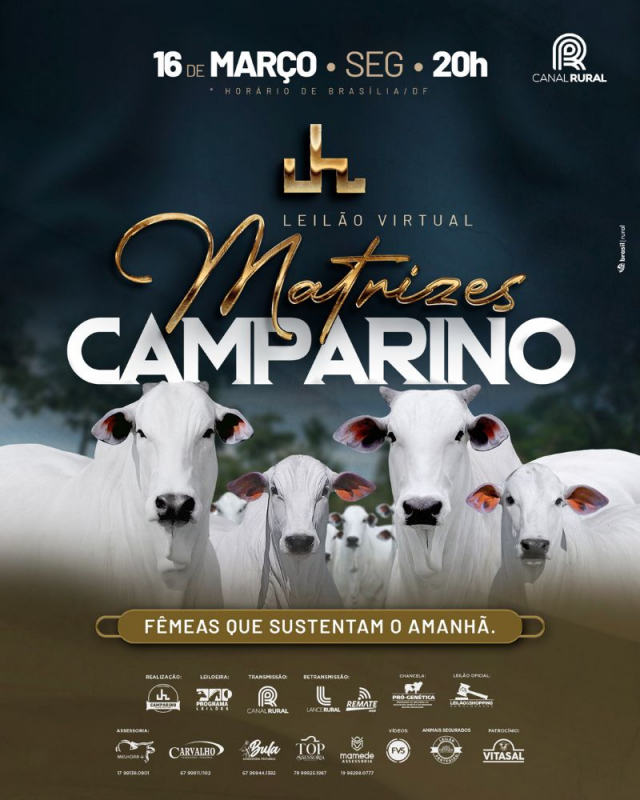 Leilão Virtual Matrizes Camparino