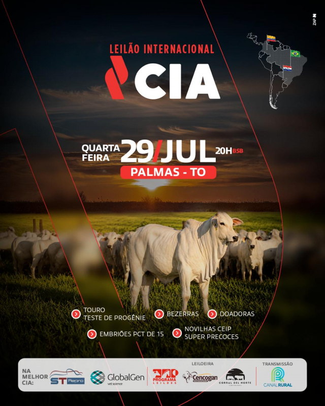 Leilão Internacional CIA