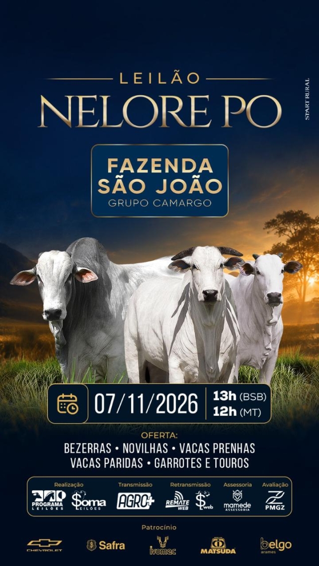 Leilão Liquidação Fazenda São João - Grupo Camargo