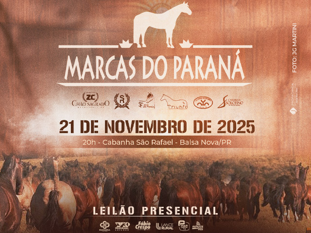 Leilão Virtual Marcas do Paraná