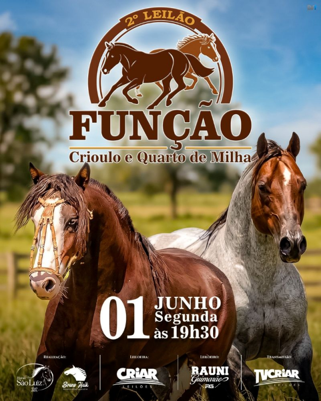 2° Leilão Virtual Função