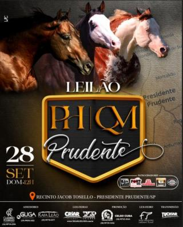 Leilão PH / QM Prudente