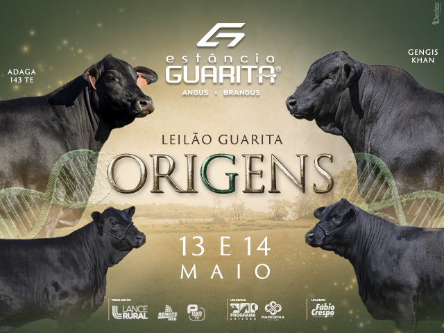 Leilão Virtual Guarita Origens - 2ª Etapa