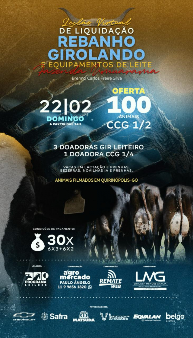 Leilão Virtual Liquidação Fazenda Umuarama - Girolando e Equipamentos de Leite