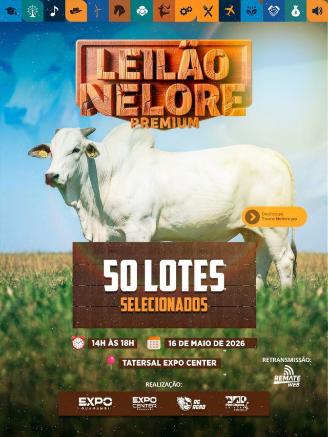 Leilão Nelore Premium - AG Agro
