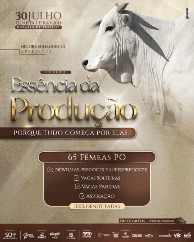 Leilão Virtual Essência da Produção - Nelore Schangri-Lá