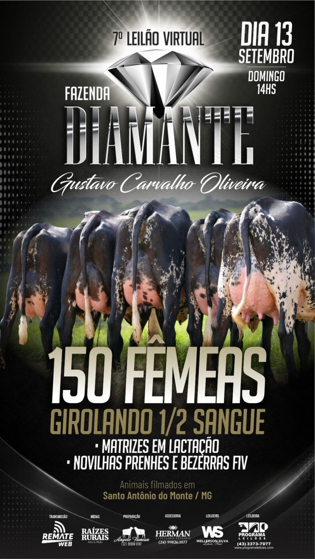 7º Leilão Virtual Fazenda Diamante - Girolando