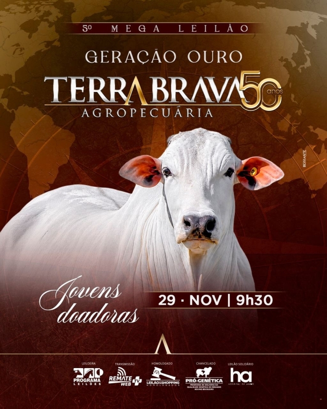 5º Mega Leilão Geração de Ouro Terra Brava - Jovens Doadoras