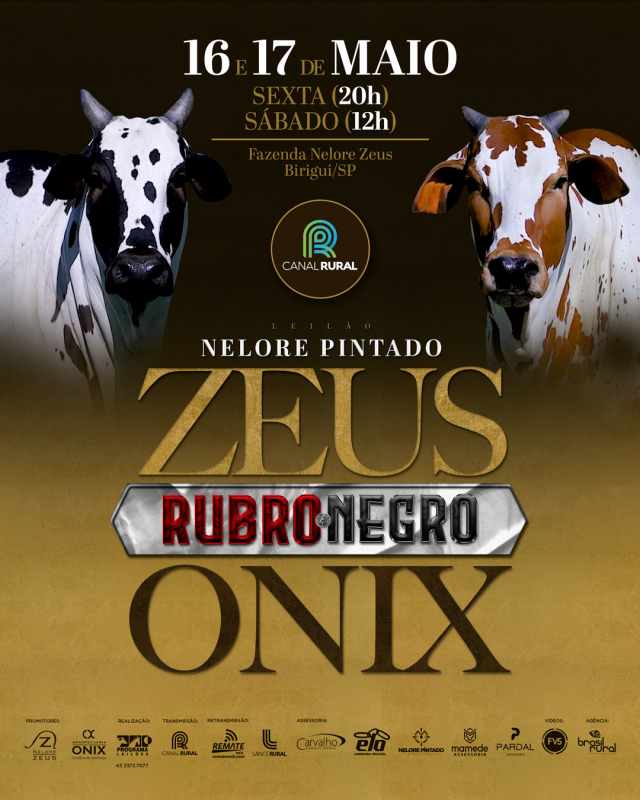 Leilão Nelore Pintado Zeus Rubro & Negro Onix - Aspirações, Prenhezes e Babys