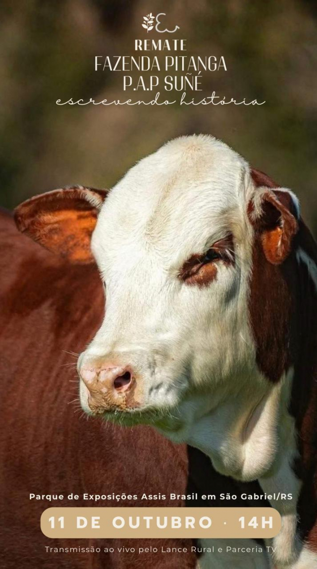 Remate Fazenda Pitanga P.A.P Suñé