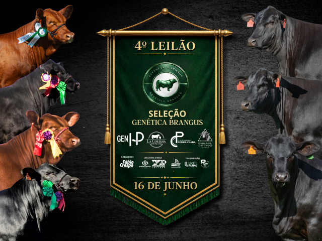 4º Leilão Seleção Genética Brangus